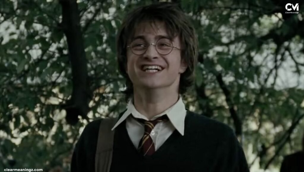 Harry Potter Riddles About Hermione Granger