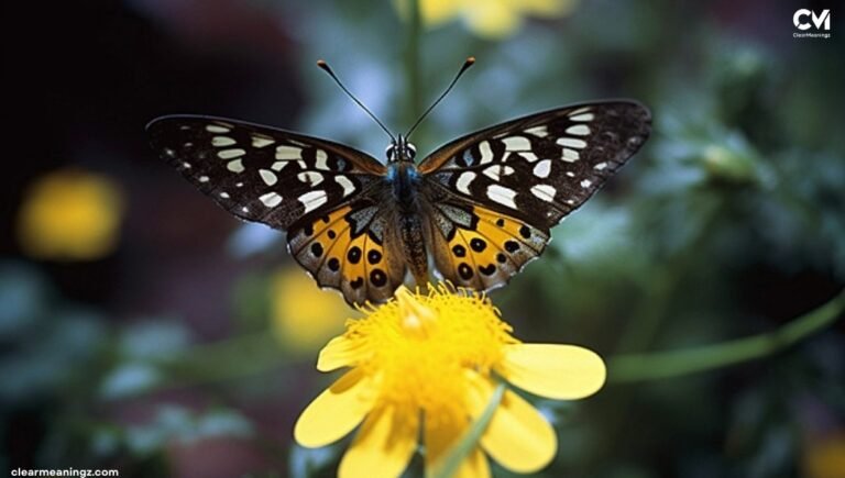 Black and Yellow Butterfly Meaning Shocking Truth
