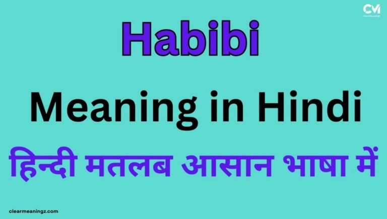 Habibi Meaning in Hindi One Word, Thousand Feelings